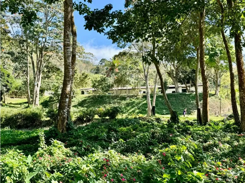Se vende finca 19 hectareas San Casimiro - 86