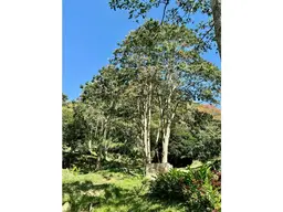 View 92