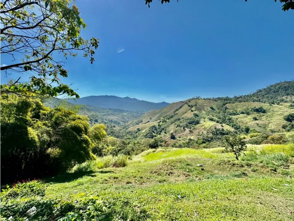 Se vende finca 19 hectareas San Casimiro - 94
