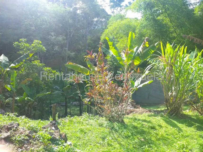 Casa (Casas de Campo) en Venta en Parcelamiento Cortada del guayabo, Miranda - 26