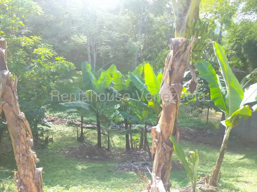 Casa (Casas de Campo) en Venta en Parcelamiento Cortada del guayabo, Miranda - 30