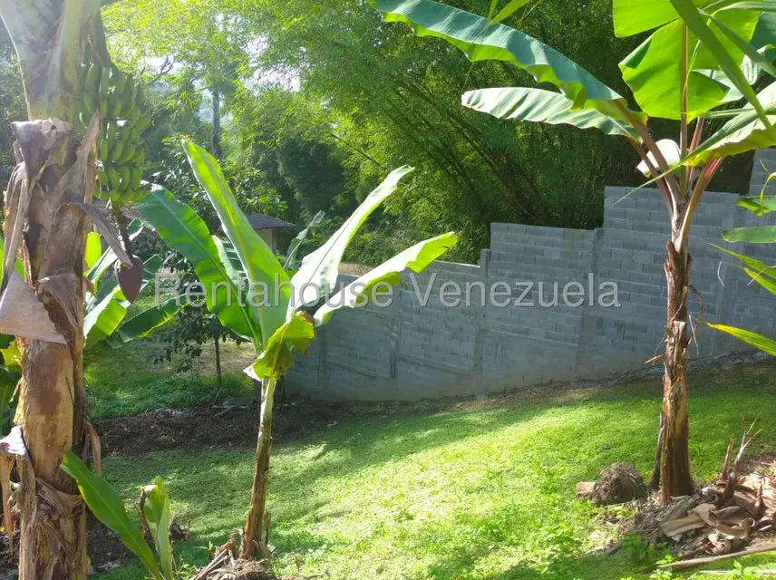 Casa (Casas de Campo) en Venta en Parcelamiento Cortada del guayabo, Miranda - 31