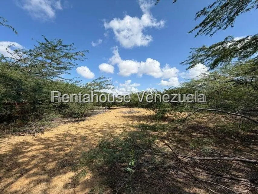 Terreno (Residencial) en Venta en Santa Elena, Falcon - 5
