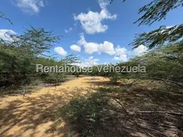 Vista 5
