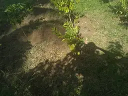 View 14