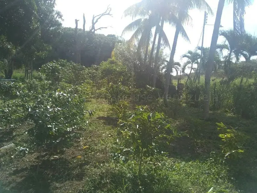 Terreno (Comercial) en Venta en Centro, Portuguesa - 15