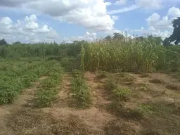 View 16