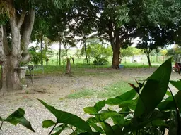 View 17