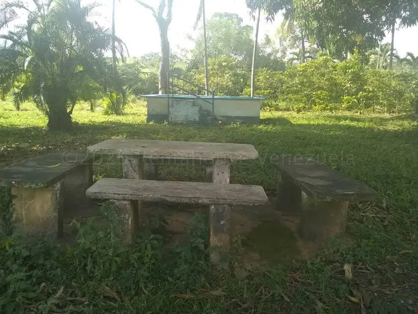 Terreno (Comercial) en Venta en Centro, Portuguesa - 18