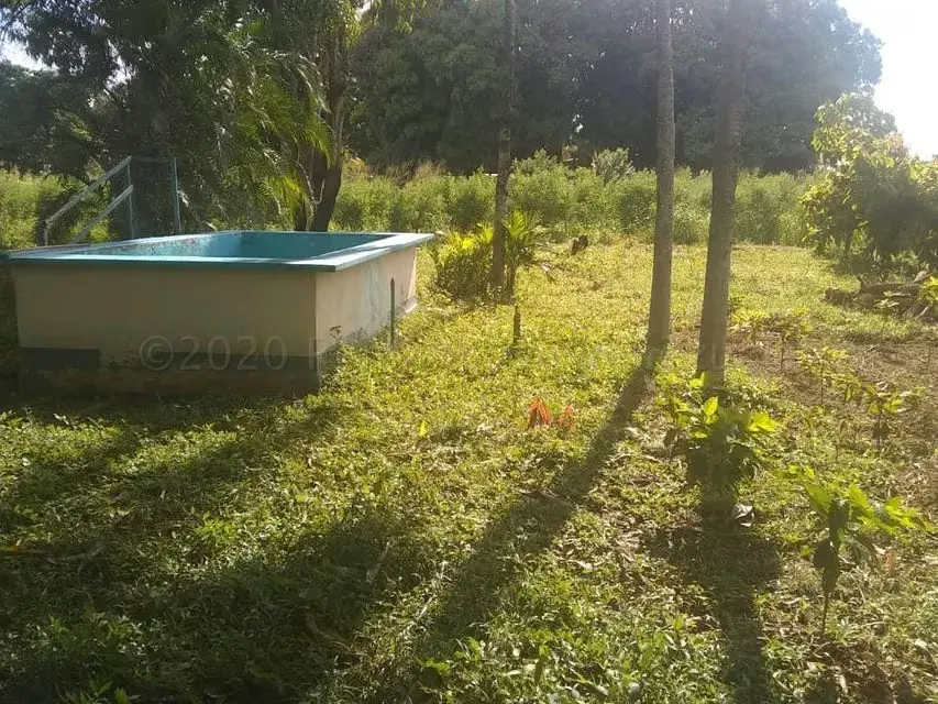Terreno (Comercial) en Venta en Centro, Portuguesa - 20