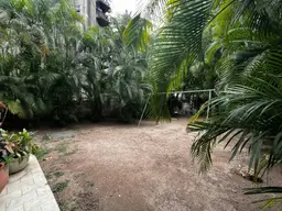 Vista 31
