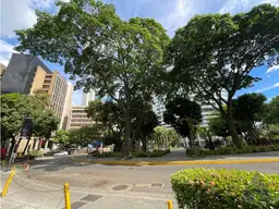 Vista 19