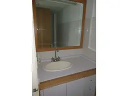 Vista 19