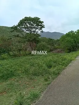 Vista 5