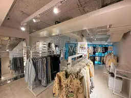 Vista 23