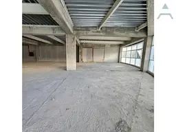 Vista 5