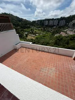 Vista 29