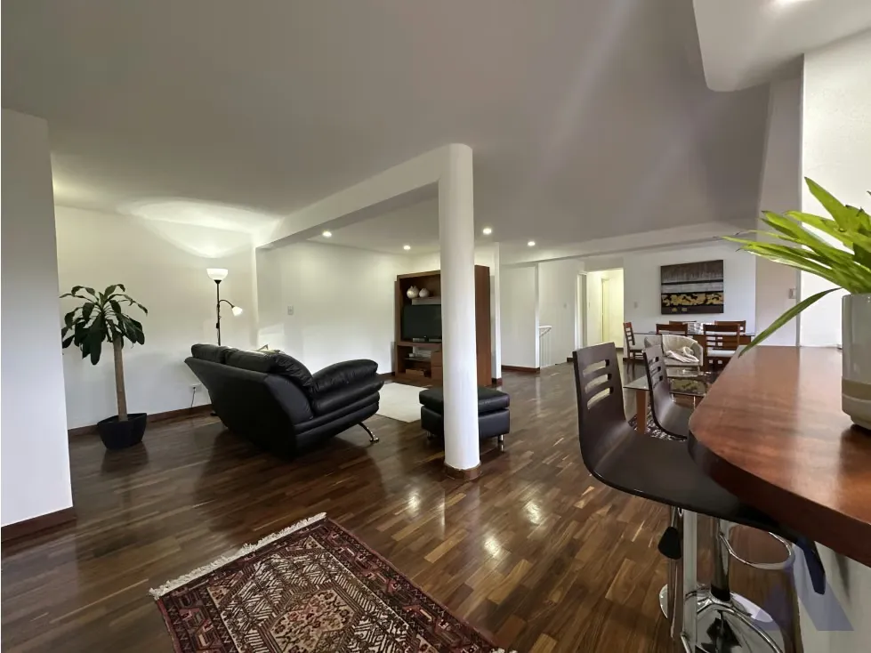 Alquilo apartamento duplex 217m2 Las Mercedes 1321 - 20