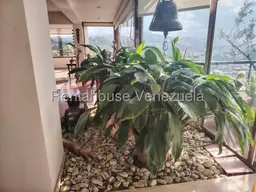 View 31