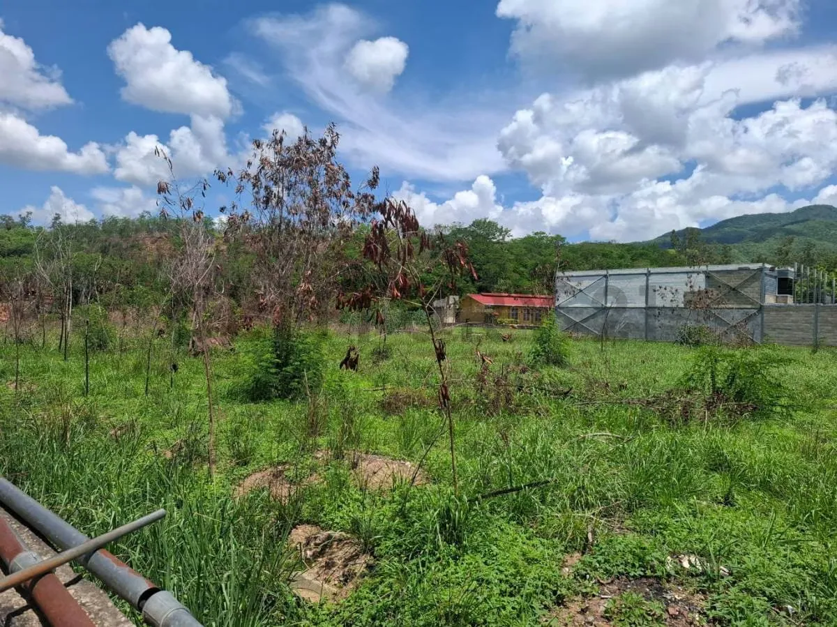 Excelente Parcela Industrial en Venta – Guarenas - 2