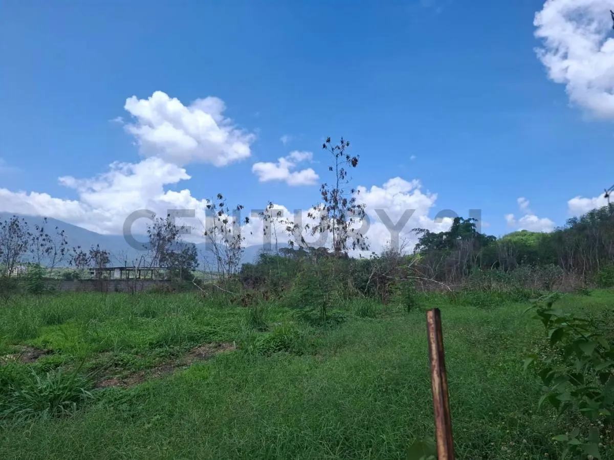 Excelente Parcela Industrial en Venta – Guarenas - 4