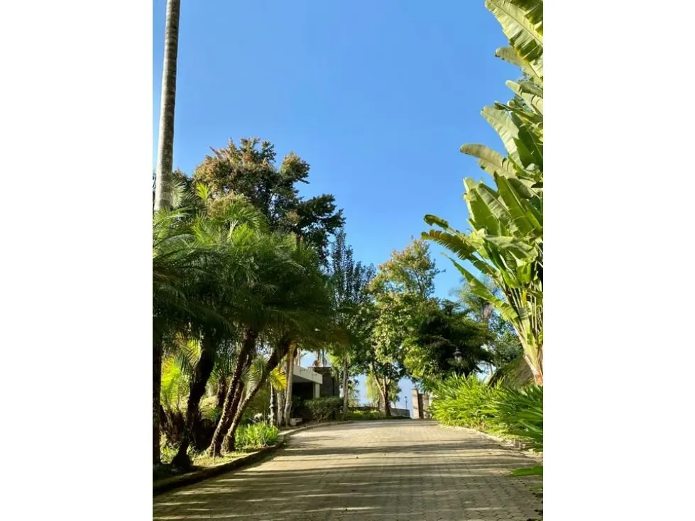 Se vende casa 2000m2 Alto Hatillo 7365 - 2