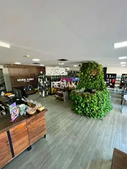 Vista 2