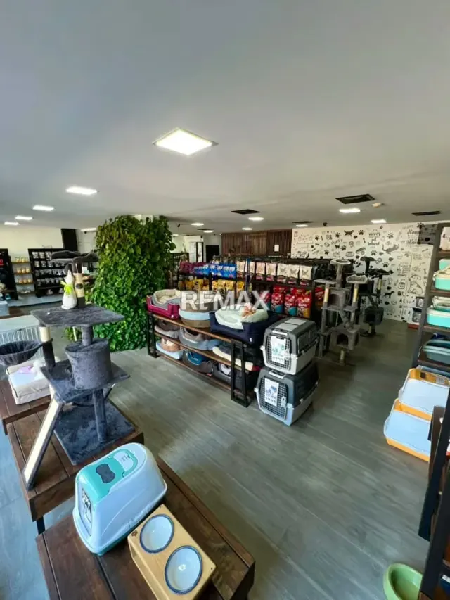 LOCAL COMERCIAL EN CC. LA REDOMA, LOS ROBLES, ISLA DE MARGARITA, MANEIRO - 3