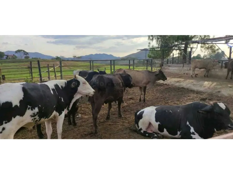 Se vende Finca en Valencia en Los Naranjos de 70 Hectáreas - 3
