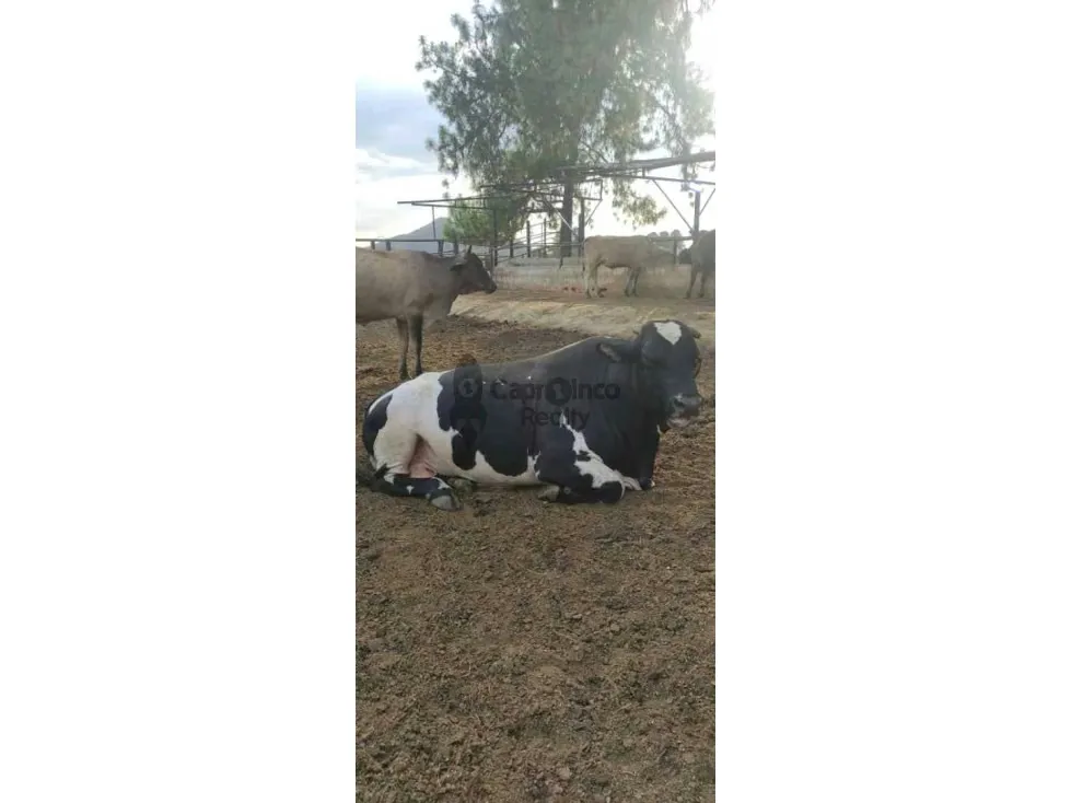Se vende Finca en Valencia en Los Naranjos de 70 Hectáreas - 4