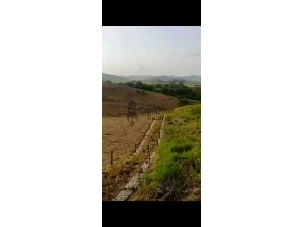Se vende Finca en Valencia en Los Naranjos de 70 Hectáreas - 5