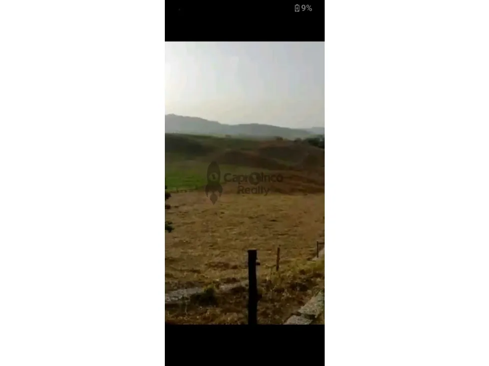 Se vende Finca en Valencia en Los Naranjos de 70 Hectáreas - 7