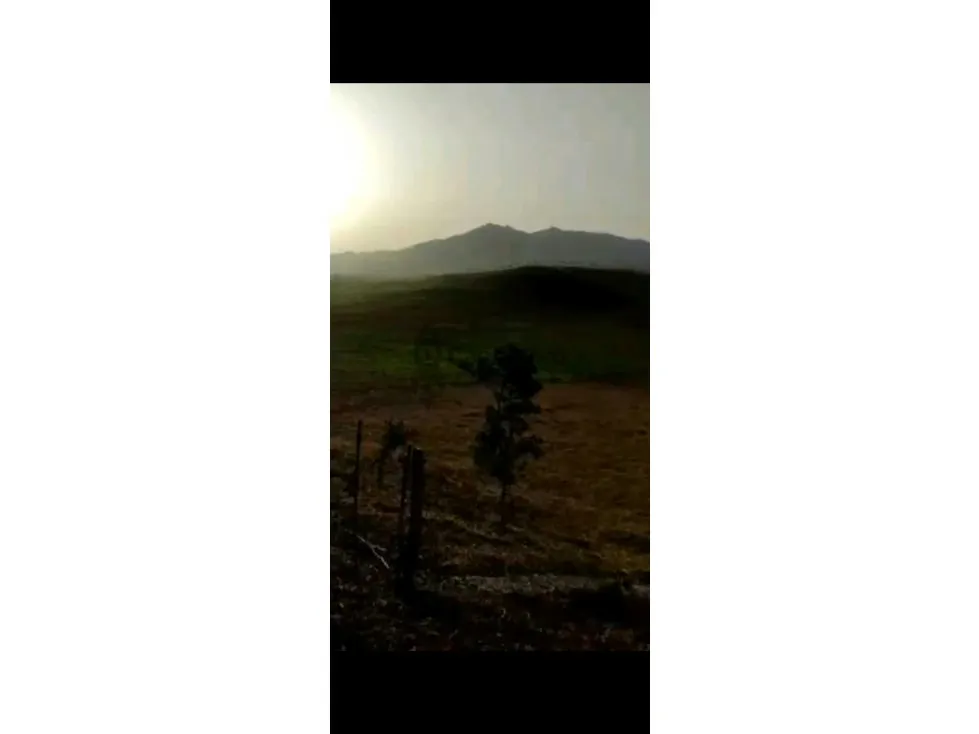Se vende Finca en Valencia en Los Naranjos de 70 Hectáreas - 8