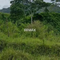 View 1