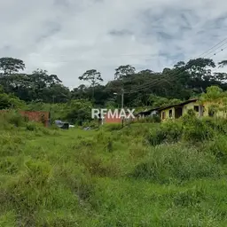 View 5