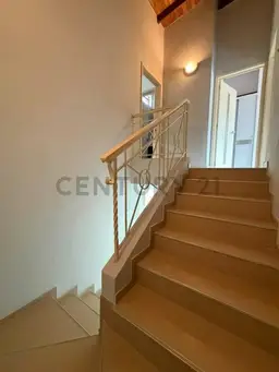 Vista 19