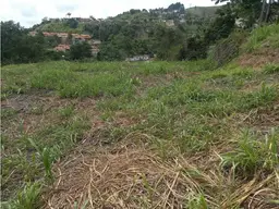 Vista 7