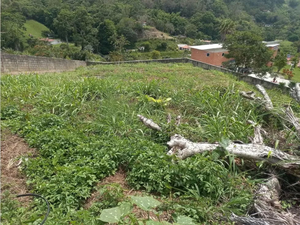 VENTA DE TERRENO LOS TEQUES DE 1505 M2 - 8