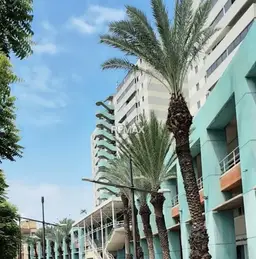 Vista 1