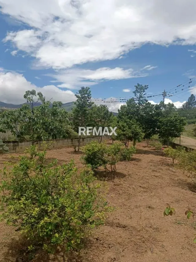 Casa Granja en Venta Caserio Paso Real-Quibor - 3