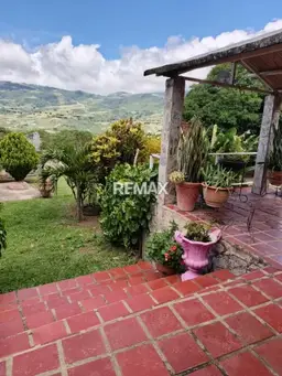 Vista 6