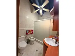 Vista 14