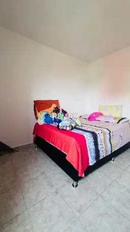 Vista 5
