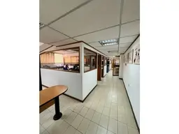 Vista 15