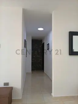 Vista 5