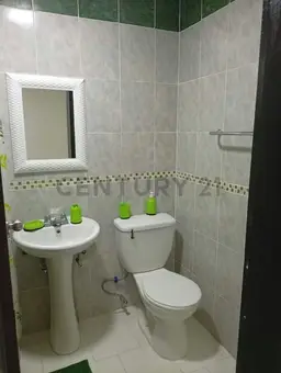 Vista 6