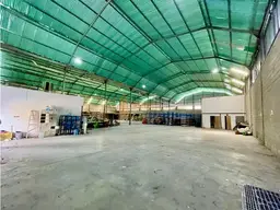 Vista 5