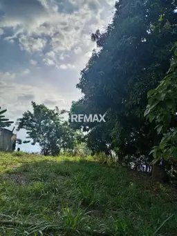 Vista 4