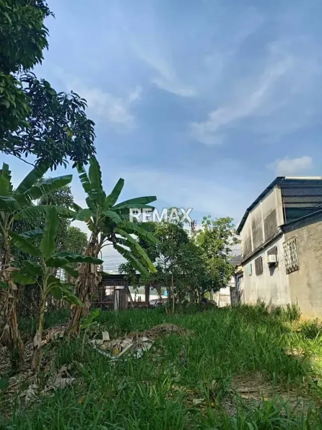 EN VENTA TERRENO MULTIPROPOSITO CON UNA UBICACION ESTRATEJICA - 5