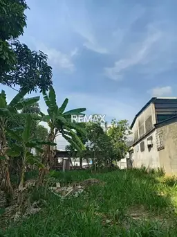 Vista 5